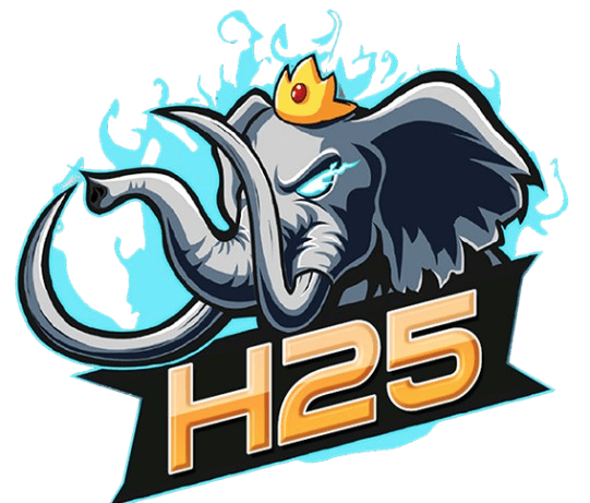 H25 COM